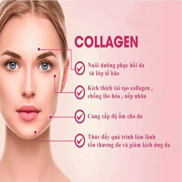 tác dụng của collagen herbalife