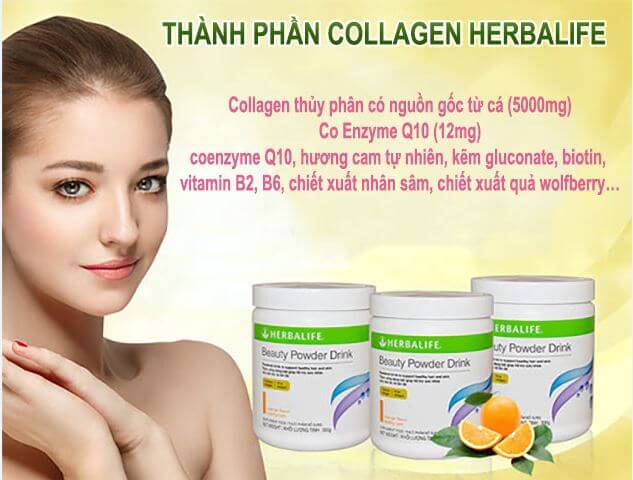 Thành phần của Collagen Herbalife